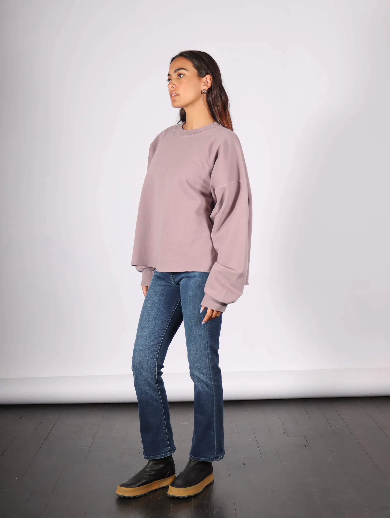 Fonder Sweatshirt in Mauve by Rachel Comey