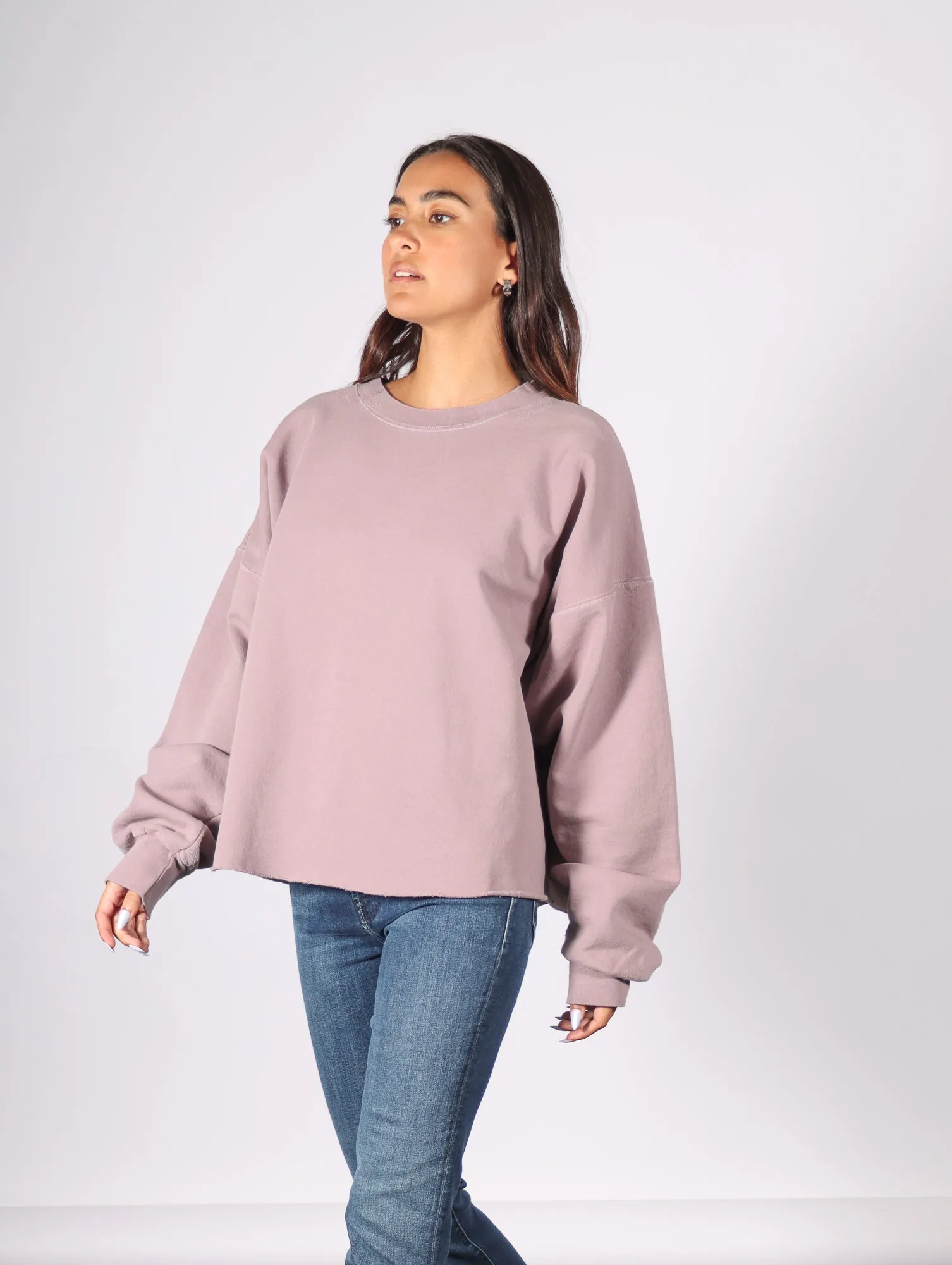 Fonder Sweatshirt in Mauve by Rachel Comey