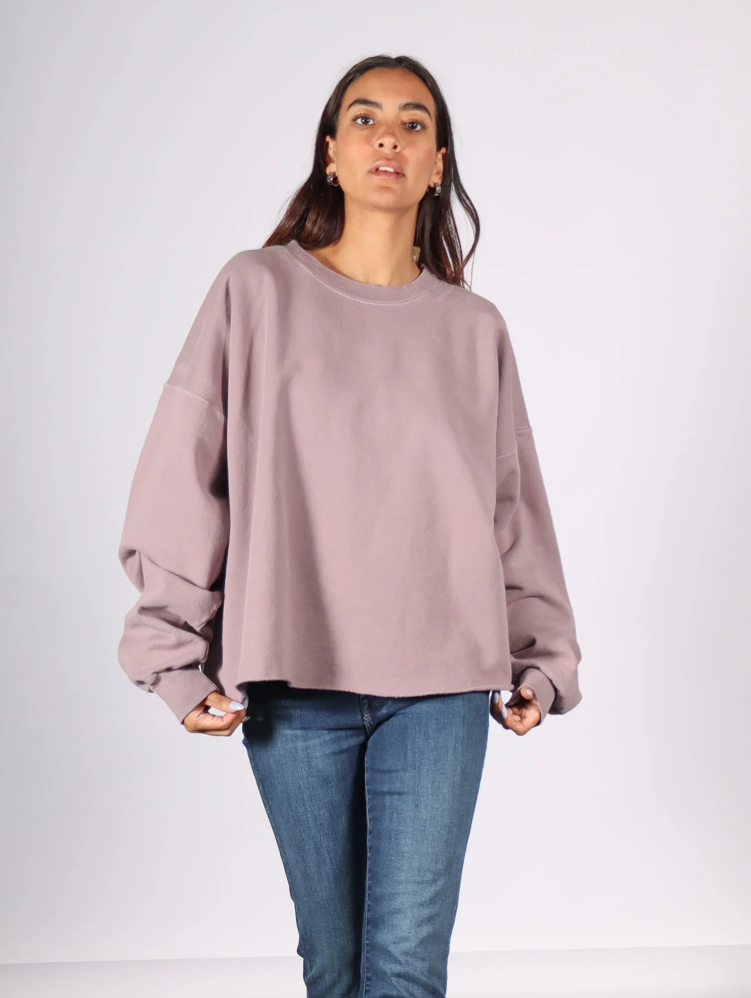 Fonder Sweatshirt in Mauve by Rachel Comey