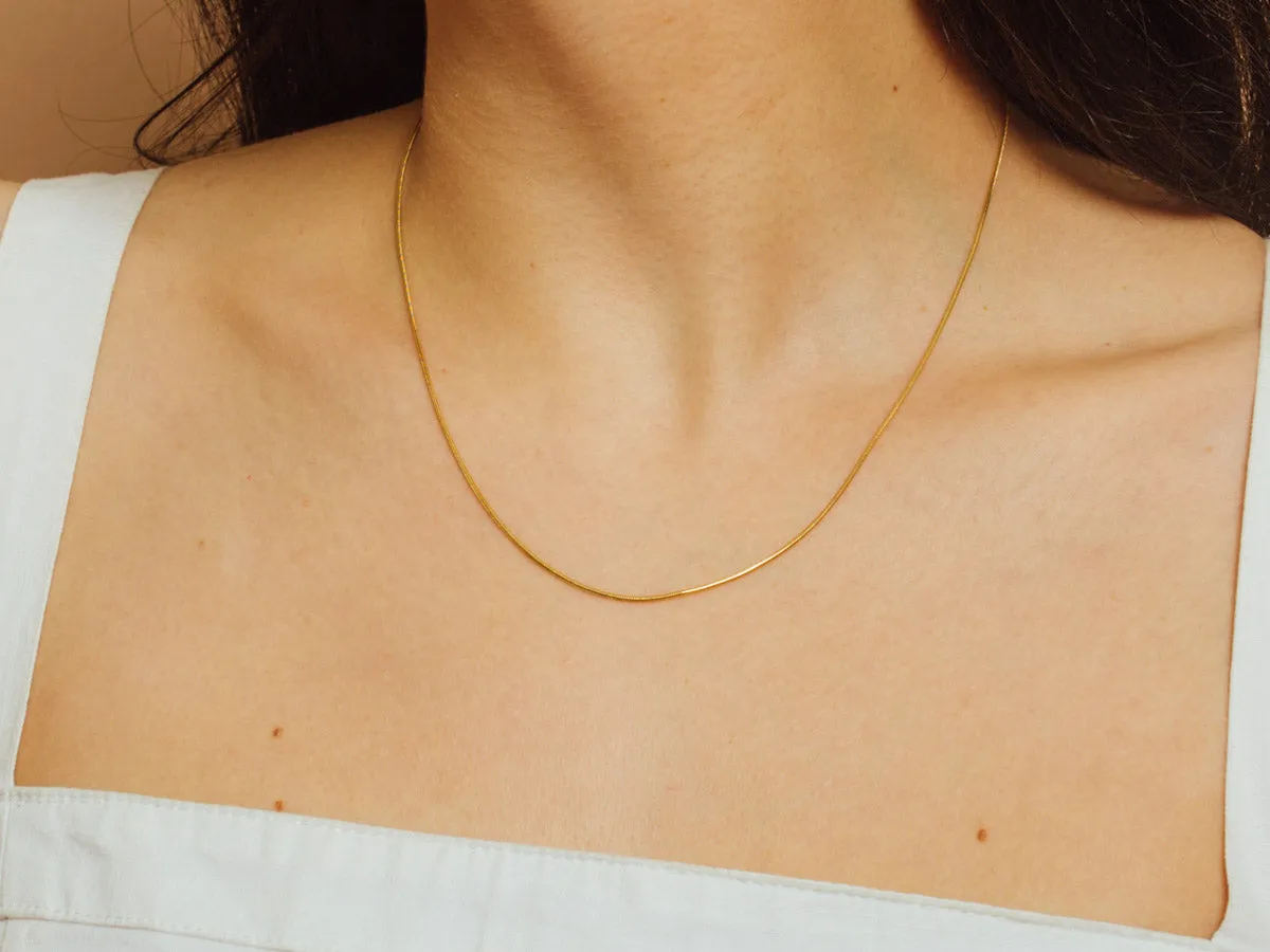 Thin Snake Gold Filled Chain